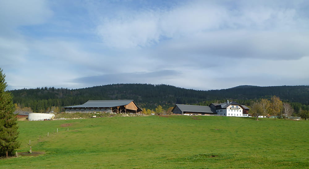 greiner_hof-589a998e Kopie (1)